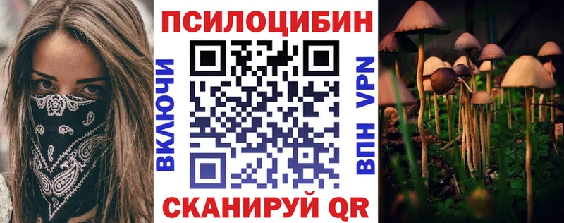 купить наркоту  Сольцы  Псилоцибиновые грибы Psilocybe 